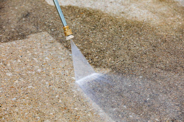 Animal Enclosure Cleaning in Urbana, MD